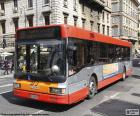 Roma kentsel otobüs, şu anda bir ağı 8260 durur ve 338 çizgiler vardır